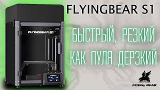 FLYINGBEAR S1 | Промышленный 3D принтер в каждый дом