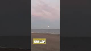 luna llena-повний місяць