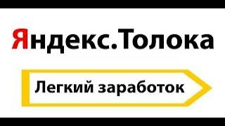 Яндекс Толока  Доход, советы