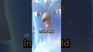 Rarest Wild Encounter in Pokémon History?