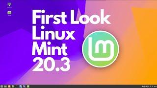 Taking a Look at the Upcoming Linux Mint 20.3 'Una' Before 2021 Ends