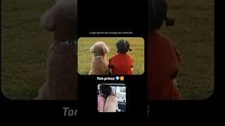 Smile maker Tom ️  #doglover #shorsfeed #viral #trending #shorts  #owncreation