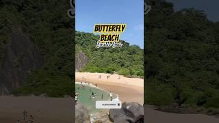 Butterfly Beach, South Goa, Palolem #goatrip #goatravel #newyear2025 #goavacation