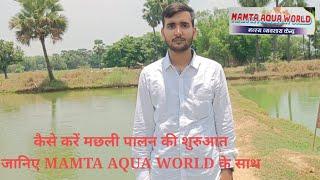 कैसे करें मछली पालन की शुरुआत जानिए MAMTA AQUA WORLD के साथ।