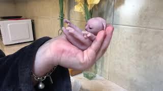 Full body silicone baby hybrid by Nadine Dolotova