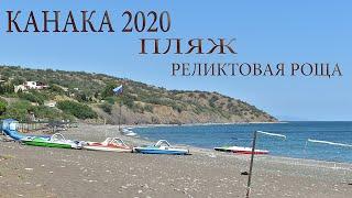 КАНАКА, ПЛЯЖ, РЕЛИКТОВАЯ РОЩА. КРЫМ 2020