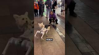 When a Robot Dog  Meets a Real Dog  pawsome moments