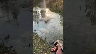 Shooting dirty pond with Glock! #guns #gun #arpistol #mandalorian