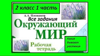 Окружающий мир 2 класс рабочая тетрадь. Какие бывают растения. Все задания