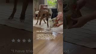 Freshpet Real Pet Parent Reviews | Ashley