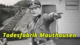 Die GRAUSAMEN VERBRECHEN von Franz Ziereis | Kommandant von Mauthausen (Dokumentation / True Crime)