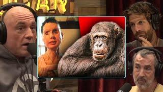 Travis The Menace “Americas Most Notorious Chimp” | Joe Rogan