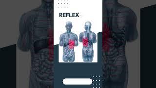 Reflex Zone Theory #solutions_for_seha_and_soul