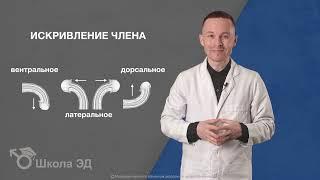 Урок 28 Искривление члена (болезнь Пейрони) и потенция