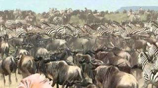 African Odyssey Trailer