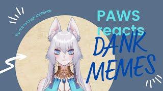 Paws Reacts To Dank Memes | 98% LOSE Try Not to LAUGH Challenge IMPOSSIBLE by God Memes