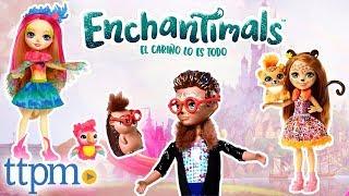 Enchantimals Dolls - Peeki Parrot, Hixby Hedgehog, Cherish Cheetah | Mattel Toys & Games