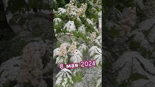 #погода#весна#май2024