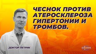 Чеснок против атеросклероза, гипертонии и тромбов.