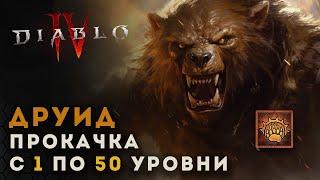 Diablo 4 Гайд по прокачке друида с 1 по 50 уровни. Сокрушение | Диабло 4 | D4 guide druid