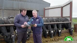 Achieving 605kg of milk solids in Louth dairy herd | Progressive Farm Program