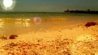 Yosan Gonzalez, Jus Deelax - Sunlife Feat.Celia Fox (Roberto Sansixto & Pedro Valenzuela remix).wmv