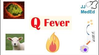 “A Disease from Farm Animals” (Q Fever) | Transmission, Symptoms, Treatment and Complications