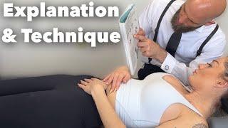 Pulse & Pelvic Cavity *Chiropractic Organ Manipulation *Anteverted & Retroverted Uterus: Normal?