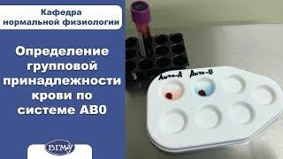 Определение групповой принадлежности крови по системе AB0