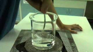 Magnesium Reaction with Sulphuric acid