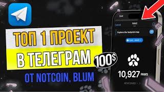 PAWS - КАК ИГРАТЬ И ЗАРАБАТЫВАТЬ МОНЕТЫ? Проект от СОЗДАТЕЛЕЙ NotCoin, Blum