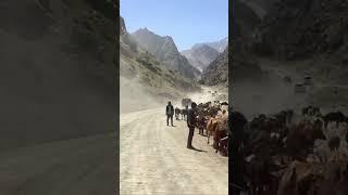 Road to the Seven Lakes: from Panjakent Bazaar to the First Lake of the Haft Kul Chain, Tajikistan