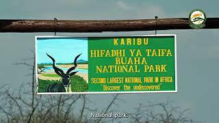 Tanzania in World Travel Awards - Bayo The Great