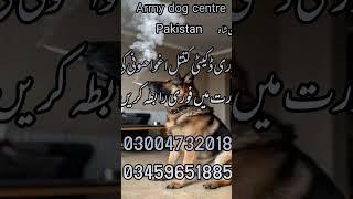 army dog centre Sargodha service all Pakistan ma mojod ha