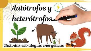 HETERÓTROFOS y AUTÓTROFOS. Distintas estrategias energéticas