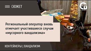 Региональный оператор вновь отмечает участившиеся случаи «мусорного вандализма»