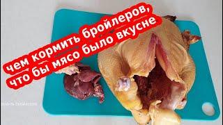 Чем кормить бройлеров, что бы мясо было вкуснее?