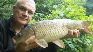 Shropshire carp fishing - Stewart Bloor's Blog (entry 679)
