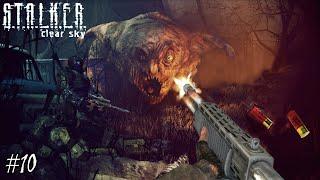 ЛЕСНИК ИЗ РЫЖЕГО ЛЕСА ► S.T.A.L.K.E.R.: Чистое небо #10