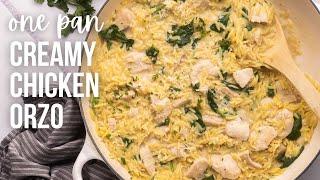 Creamy Chicken Orzo l The Recipe Rebel