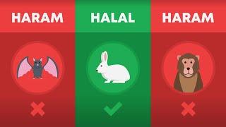 Halal and Haram Animals in Islam