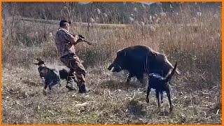 2024 BEST HUNTING POSITIONS, Perfect shots