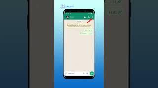 How to Mute Someone on WhatsApp | WhatsApp Guide