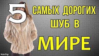 5 самых дорогих шуб в мире