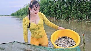 Thăm dớn cá bẫy dính đầy thau to sau cơn bão | TNTP T252 - Country girl catches fish and cooks