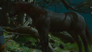Witcher 3 Horse