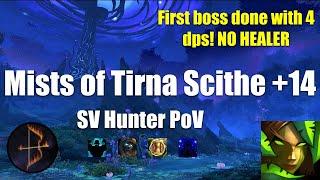 +14 Mists Survival Hunter PoV 4 DPS first boss