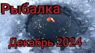 Рыбалка на поплавок 18 декабря 2024 г. на речке!В ЭТОЙ ЛУНКЕ СОБРАЛАСЬ ВСЯ РЫБА!КИВОК ГНЁТ КО ДНУ.