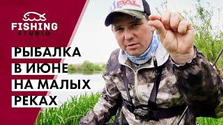 Где, как и на что ловить голавля в начале лета? | Рыбалка в июне на малых реках | ВихровLIFE