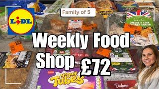 Budget Food Shop | Lidl | Family of 5 | UK Grocery haul with Meal Plan